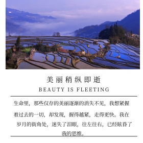 美丽稍纵即逝文艺小清新公众号正方形配图