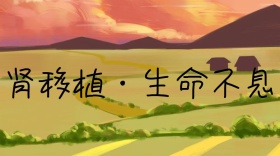 肾移植绿色简约生命不息公众号封面模板