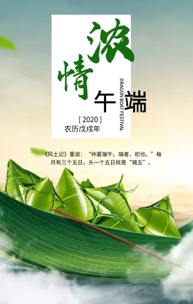 浓情端午传统节日绿色扁平化手机海报