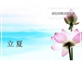 立夏植物绿色摄影公众号封面配图