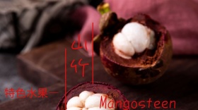 山竹宣传创意简约公众号封面模版