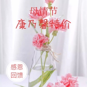 简约康乃馨母情节促销淘宝主图