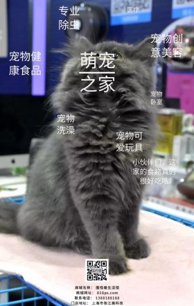 萌宠之家店铺广告宣传