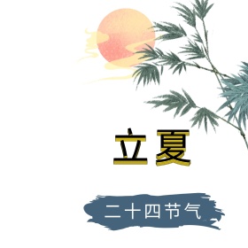 立夏清新绿叶公众号配图
