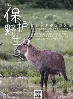 保护野生动物海报