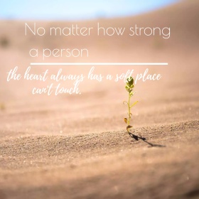 坚强文艺简约公众号正方形配图