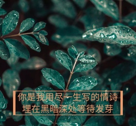 你是我用尽一生写的情诗朋友圈封面