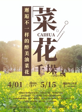 清新简约兴化千垛油菜花宣传海报