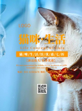 猫的剪影宣传海报