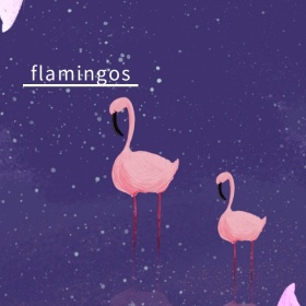 火烈鸟丛林手机微博封面模板