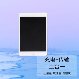 简约大气数据线新品促销专场主图直通车模板