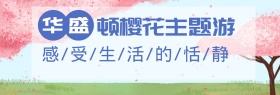 旅游banner 華盛頓櫻花