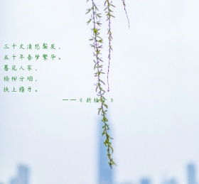 杨柳诗词文艺绿色古风朋友圈封面