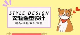 宠物造型设计宣传banner