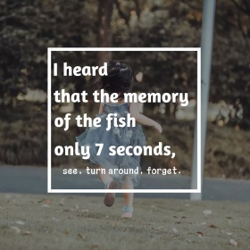 遇见转身遗忘文艺小清新公众号正方形配图