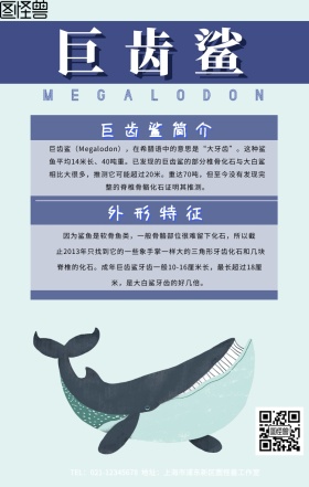 巨齿鲨创意手机海报
