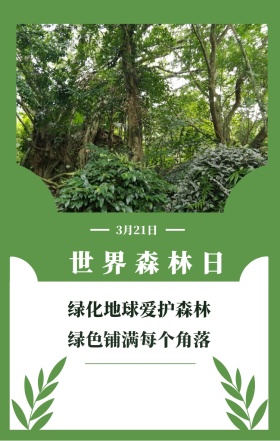 世界森林日 3月21日 绿化地球爱护森林 绿色铺满每个角落 世界森林日简约公益手机海报