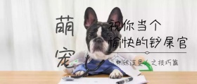 愉快铲屎官公众号封面