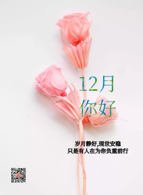 12月    岁月 绿色  安稳  瓶子