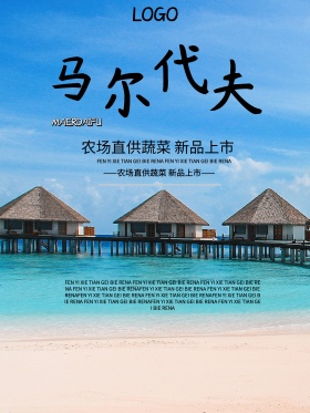椰子树海边马尔代夫自由行旅游海报设计