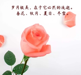 通用朋友圈封面