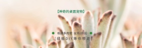 绿色清新萌萌的多肉君淘宝海报banner电商