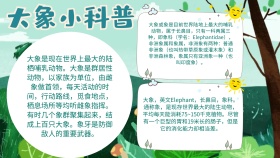 有关动物的手抄报宣传