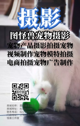 宠物摄影日签