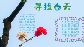 创意卡通扁平简约寻找春天手抄报海报