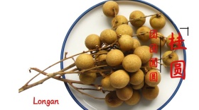 龙眼简约创意宣传公众号模版