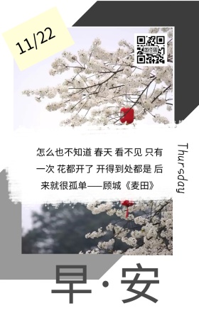 花朵设计日签