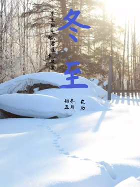 原创清新冬至饺子海报