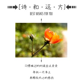 日系简约小清新旅行心语公众号正方形配图