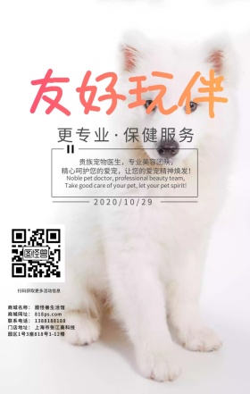 友好玩伴宠物会所小清新营销日签