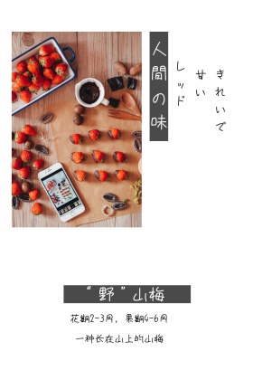 美食山梅简介公众号封面图模版