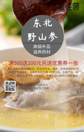 东北野山参手机营销海报