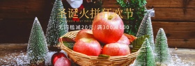 简约大气圣诞促销专场淘宝海报模板