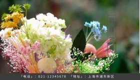 卡通名片花卉	