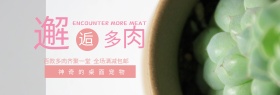 小清新粉色手绘邂逅多肉淘宝海报banner电商