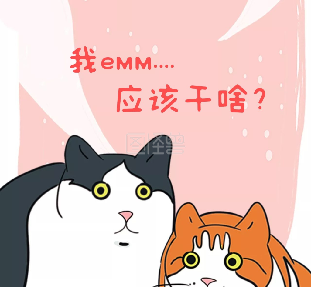 猫咪干瞪眼搞笑朋友圈封面