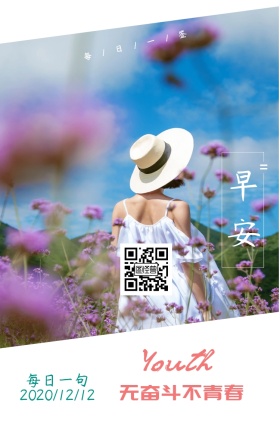 日签小清新玫瑰花青春物语绿色摄影简约