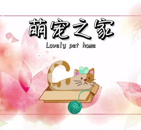 萌宠宠物可爱动物朋友圈封面