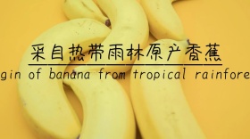 热带雨林香蕉宣传创意简约公众号封面模版
