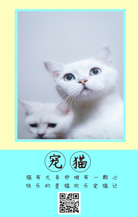 宠猫 猫有九条命唯有一颗心 快乐的星猫欢乐宠猫记 卡通宠物猫之日可爱手机海报
