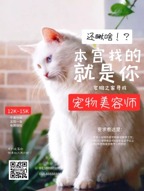 黑色简约猫咪宠物美容师招聘海报