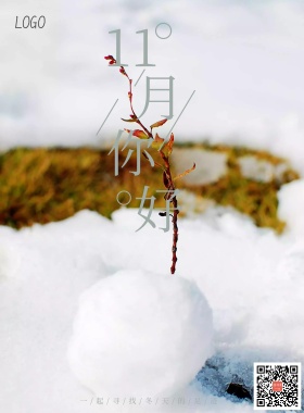 十一月你好冷色系简约风宣传海报模板