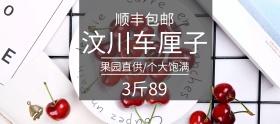 汶川车厘子樱桃聚划算banner图片