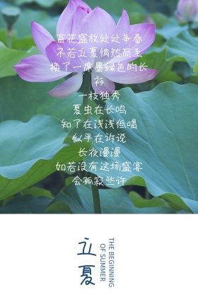 立夏清新荷花公众号配图