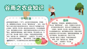 绿色清新谷雨之农业知识手抄报