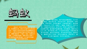 卡通创意黄色大气蚂蚁手抄报海报